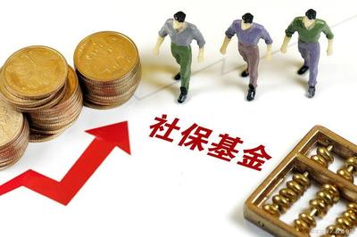 保險資金與社?；鹜顿Y策略的核心差異