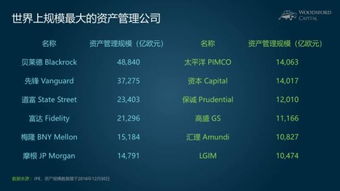 小烏龜學投資系列七 撥開迷霧，慧眼識珠——如何比較與區分海外股權投資機構